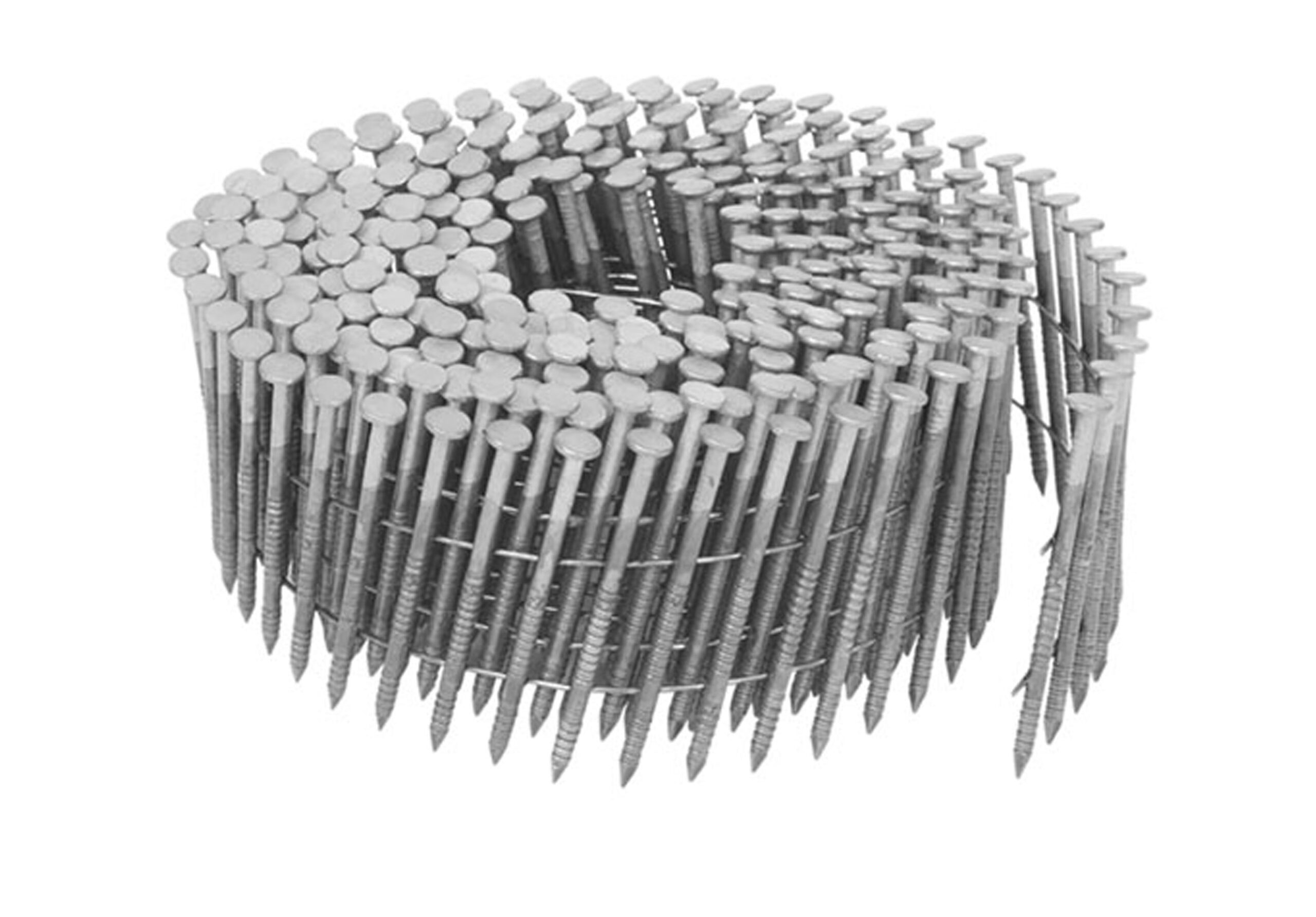 Stainless Steel Coil Nail