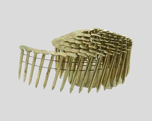 Electro Galvanized Coil Nail